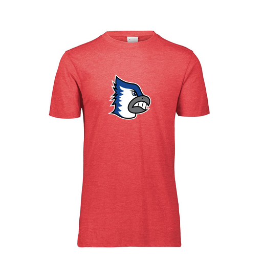 [FTSCUBRD-AS-LOGO2] Decker Men's Tri-Blend T-Shirt - Short Sleeve (Adult S, Red, Logo 2)