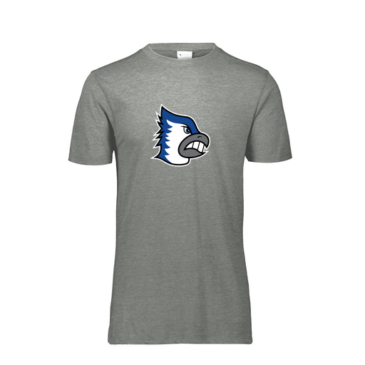 [FTSCUBGY-YS-LOGO2] Decker Youth Tri-Blend T-Shirt - Short Sleeve (Youth S, Gray, Logo 2)