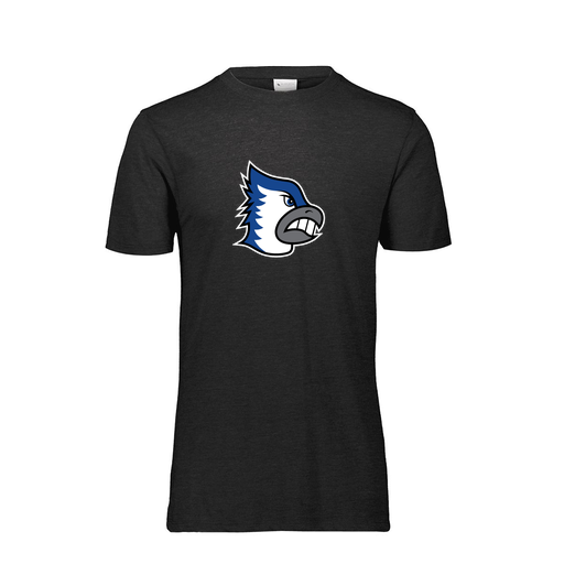 [FTSCUBBK-AS-LOGO2] Decker Men's Tri-Blend T-Shirt - Short Sleeve (Adult S, Black, Logo 2)