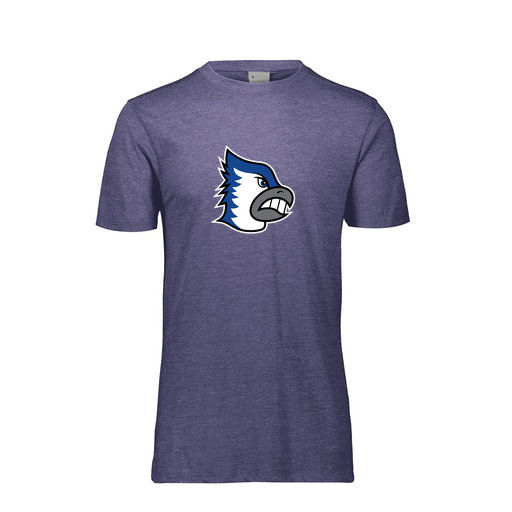 [FTSCUBRY-AS-LOGO2] Decker Men's Tri-Blend T-Shirt - Short Sleeve (Adult S, Royal, Logo 2)